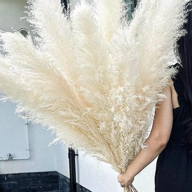 10 Stems 46" inch White Pampas Grass Decor Tall, Large Pompas Grass, Boho Neutral Home Decor Bouquet, Fluffy Pampass Grass for Floor Vase Wedding Floral Arrangements Wall Farmhouse Table Decor