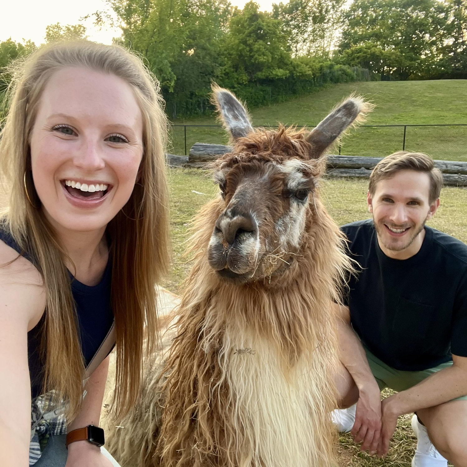 Llama Trek | Wild Nights at the Minnesota Zoo | July 2023