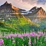 Glacier National Park