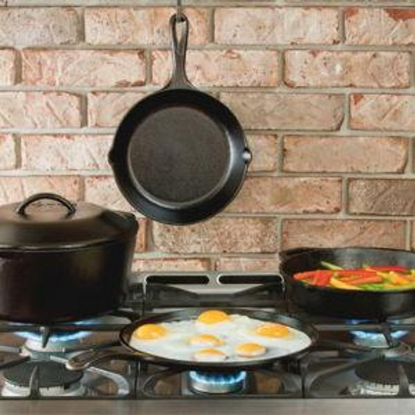 Lodge Seasoned Cast Iron Skillet
