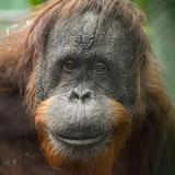 Louisville Zoo