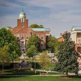 Wake Forest University