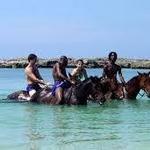 Chukka Horseback Ride and Swim