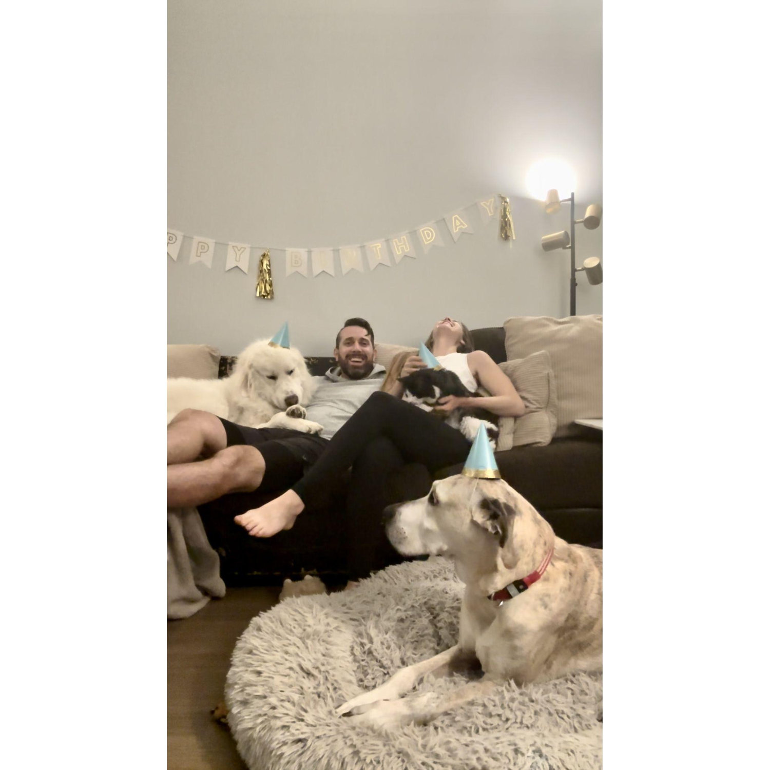 Always outnumbered by our darling animals. We will forever miss you Monstey and Brooks.