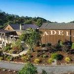 Adelaida Vineyards