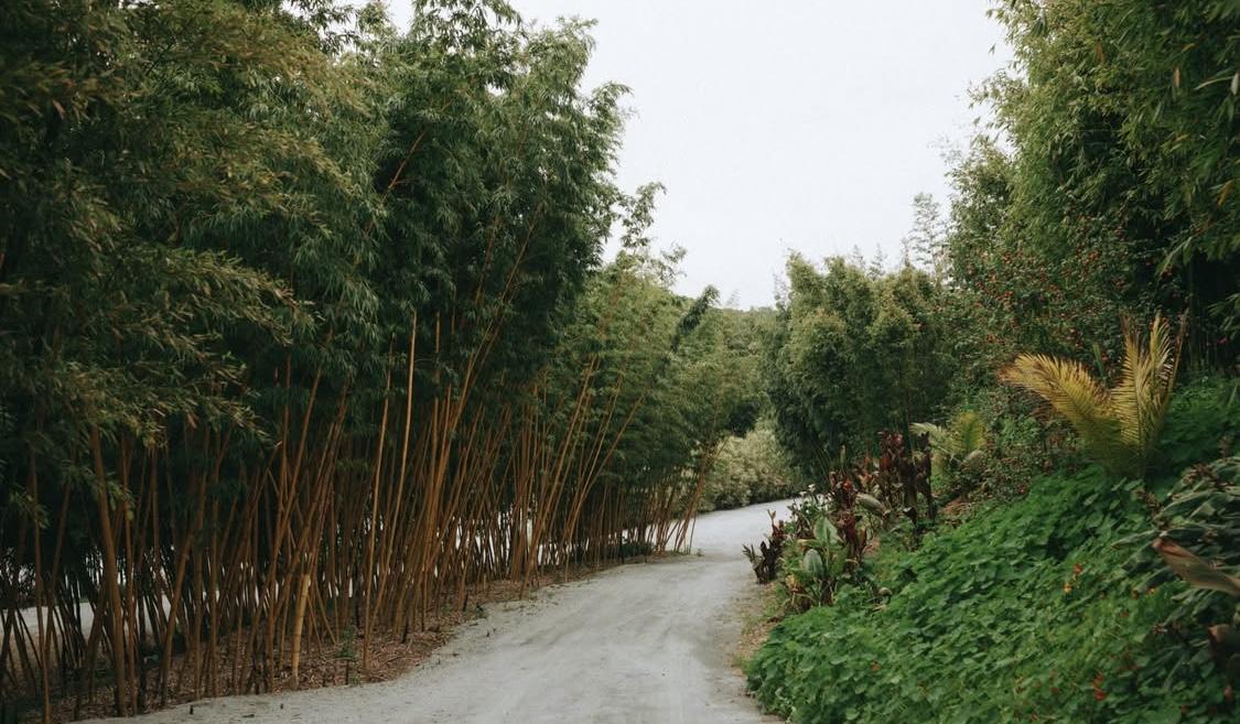 The Wedding Website of Samantha Vanni Smith and Keefe Patrick McFeely