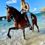 The Gold Mine Ranch Aruba