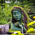 Atlanta Botanical Garden