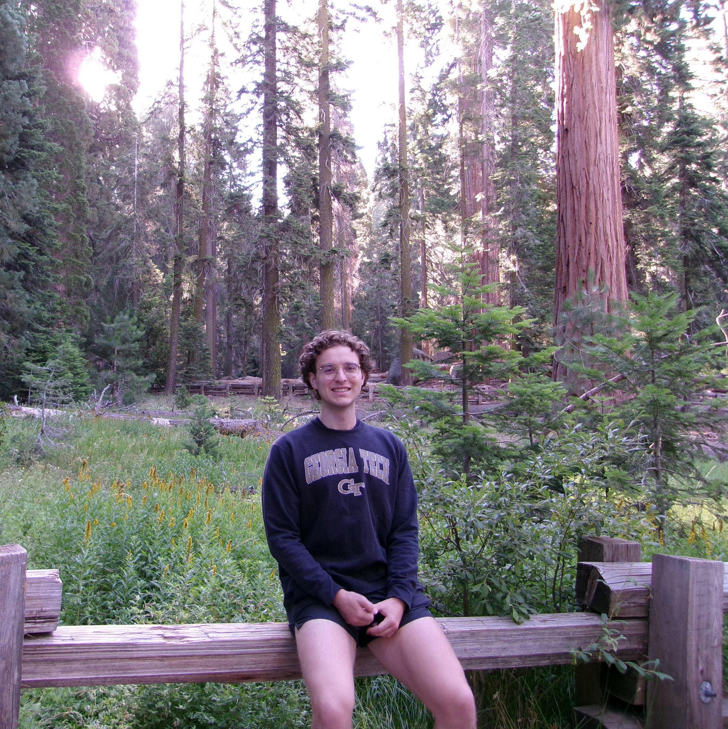 Tristan in Sequoia National Park (2025)