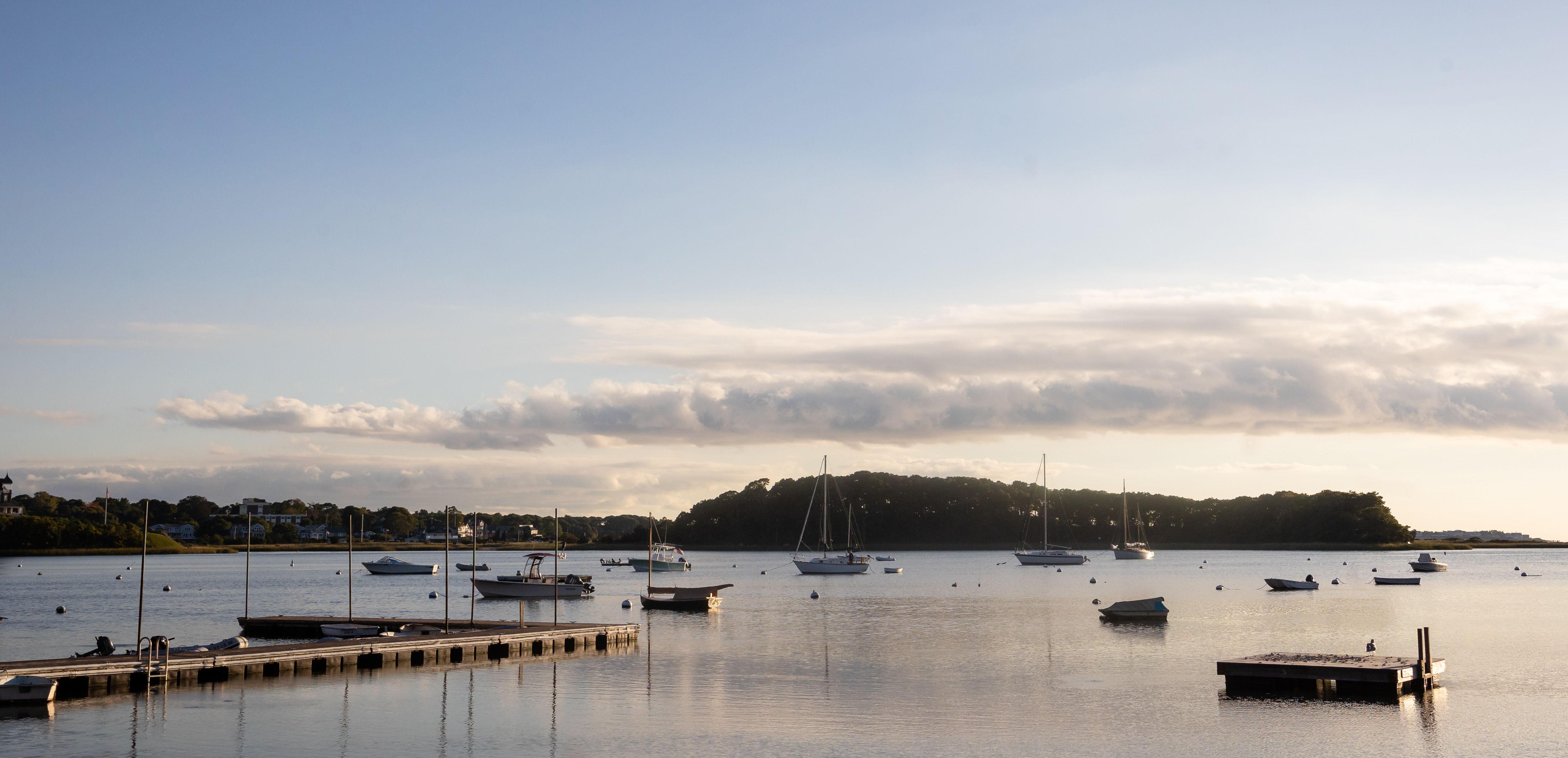 The Wedding Website of Abigail Moore and Cameron Juric