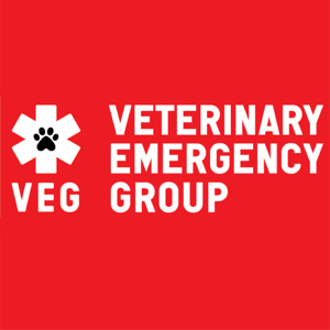 VEG Cares (Veterinary Emergency Group)