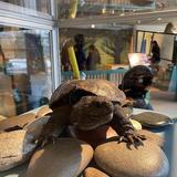 EcoTarium