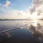 Spend a Day at the Beach