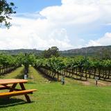 Perissos Vineyard and Winery