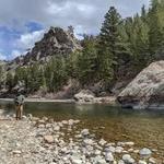 Picnic Rock Natural Area