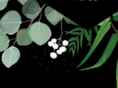 The Wedding Website of Sarah Izzo and Austin Wilmoth