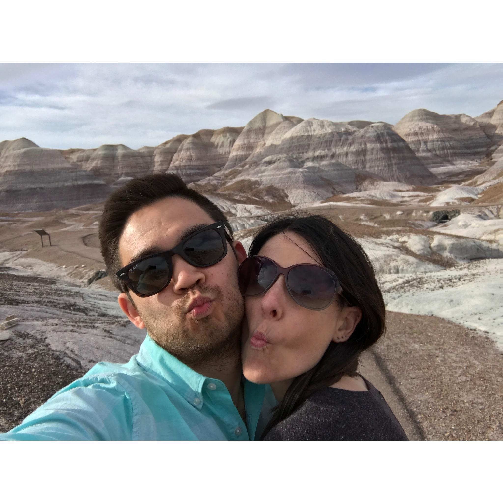 Petrified Forest National Park in Arizona