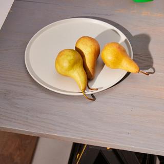 Dinner Plate