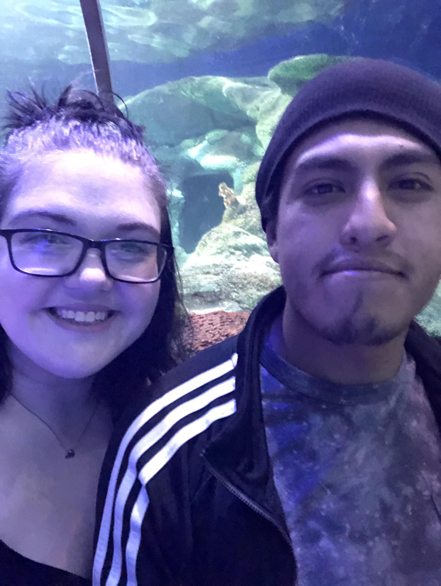 Concord Aquarium