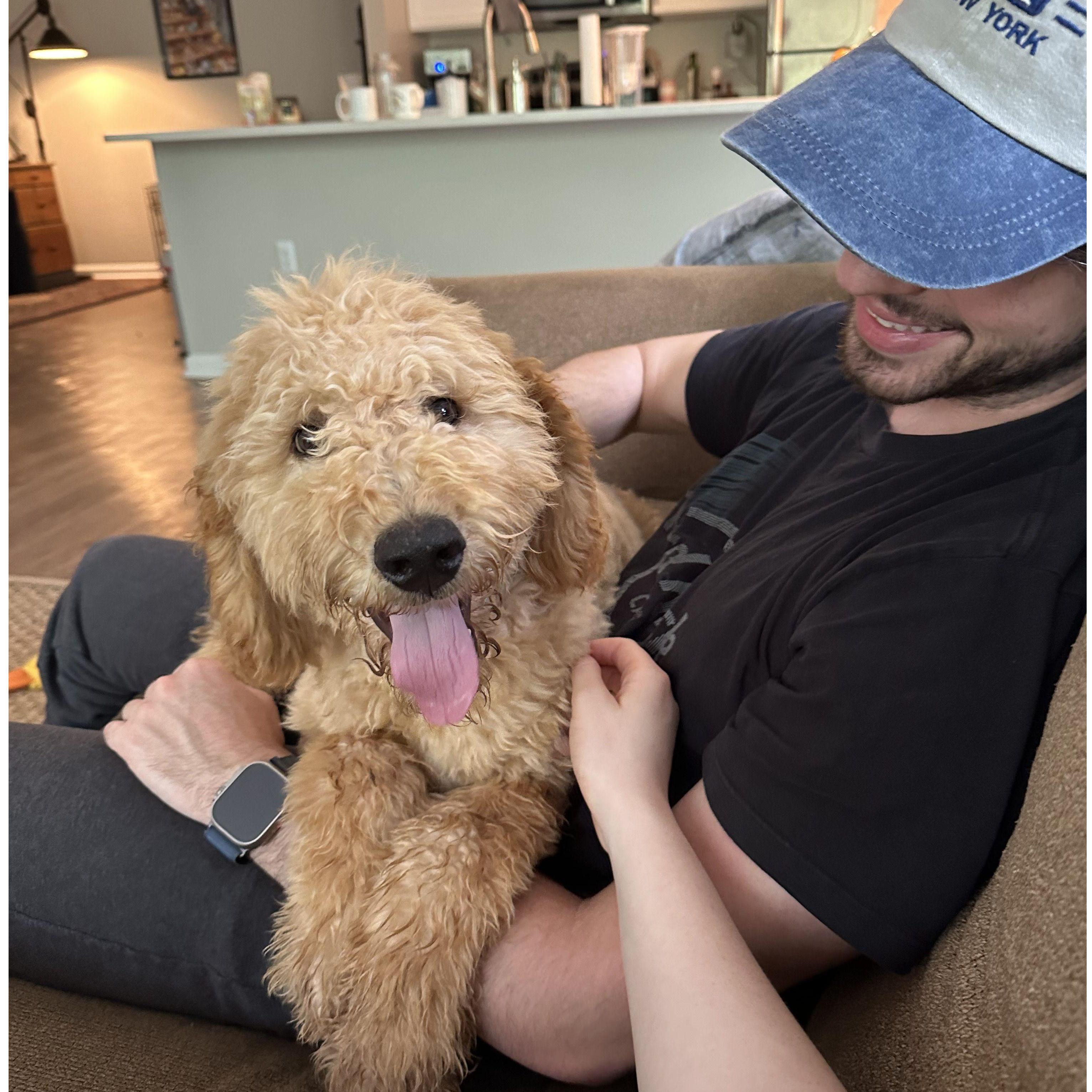 sawyer's gotcha day!