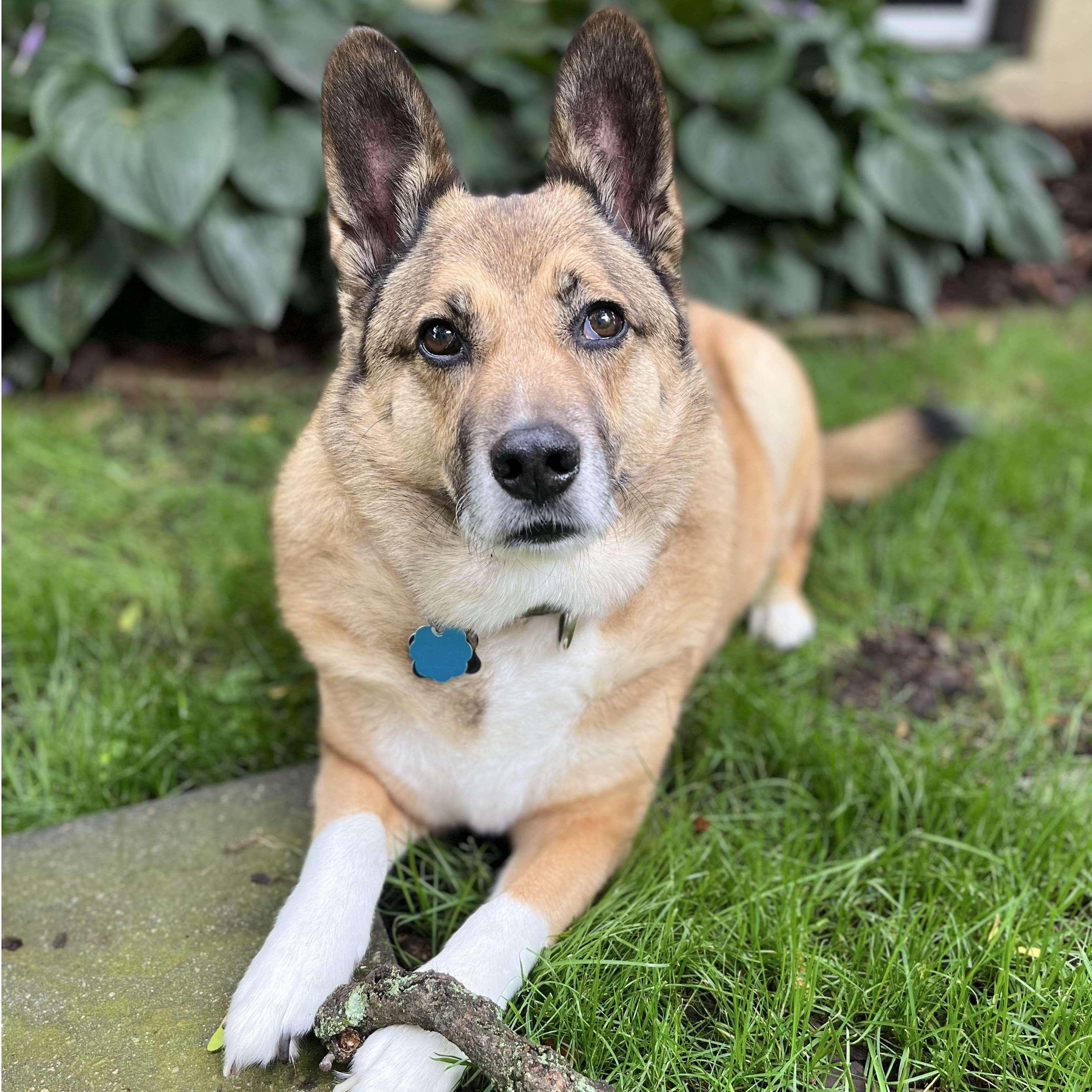 Drogo is the best branch manager!