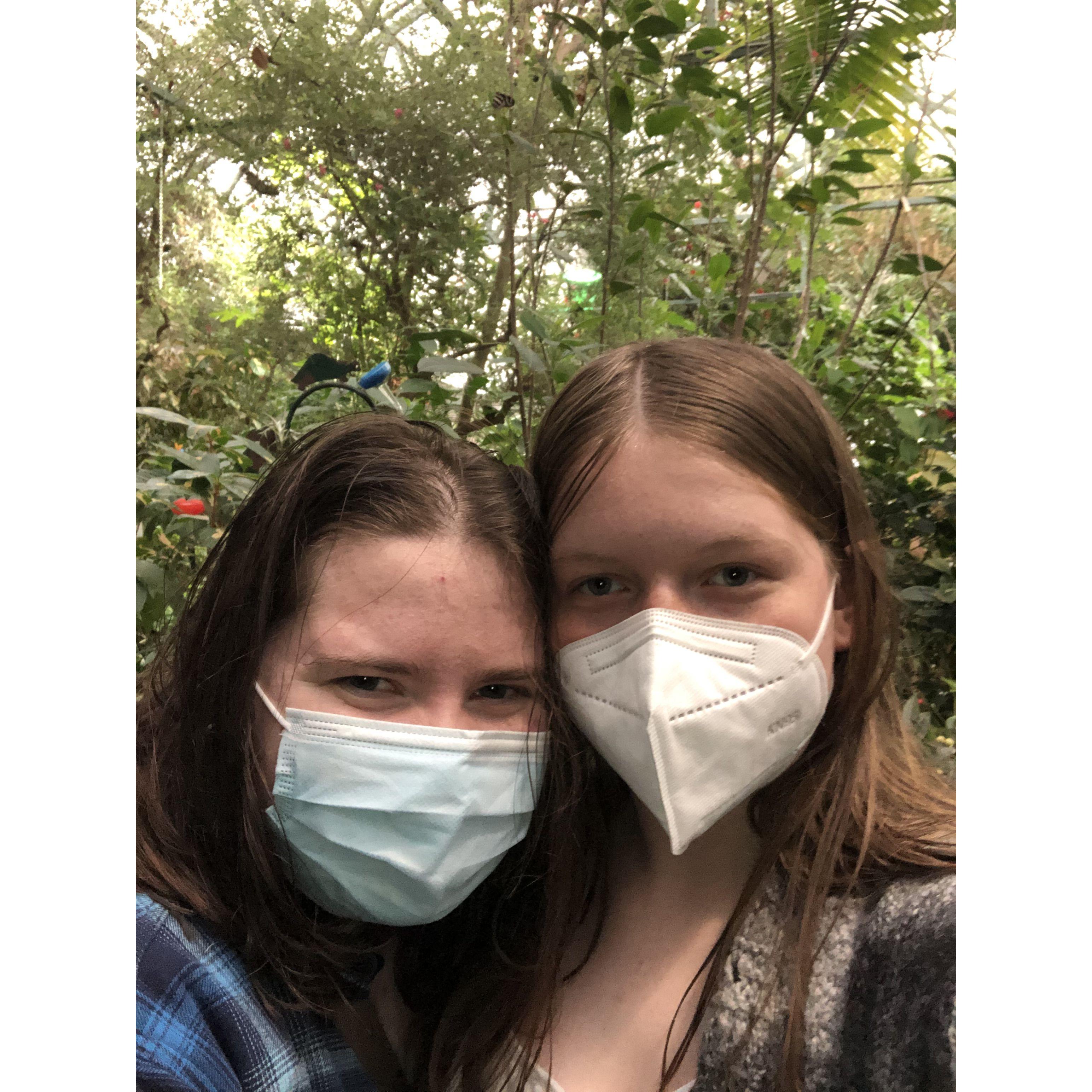 Butterfly Garden, March 2022