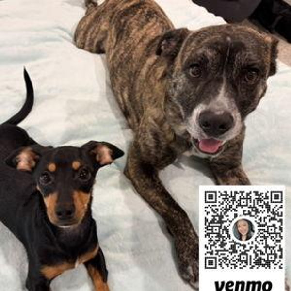 Treats Fund (scan to avoid credit card fees)