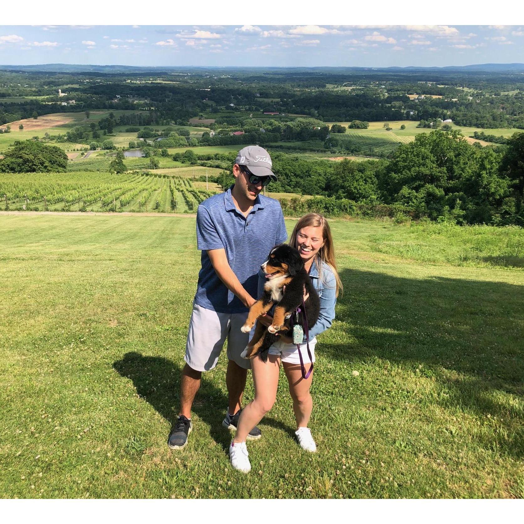 Bluemont 2020
