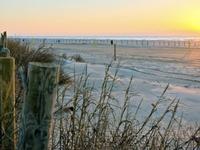Galveston