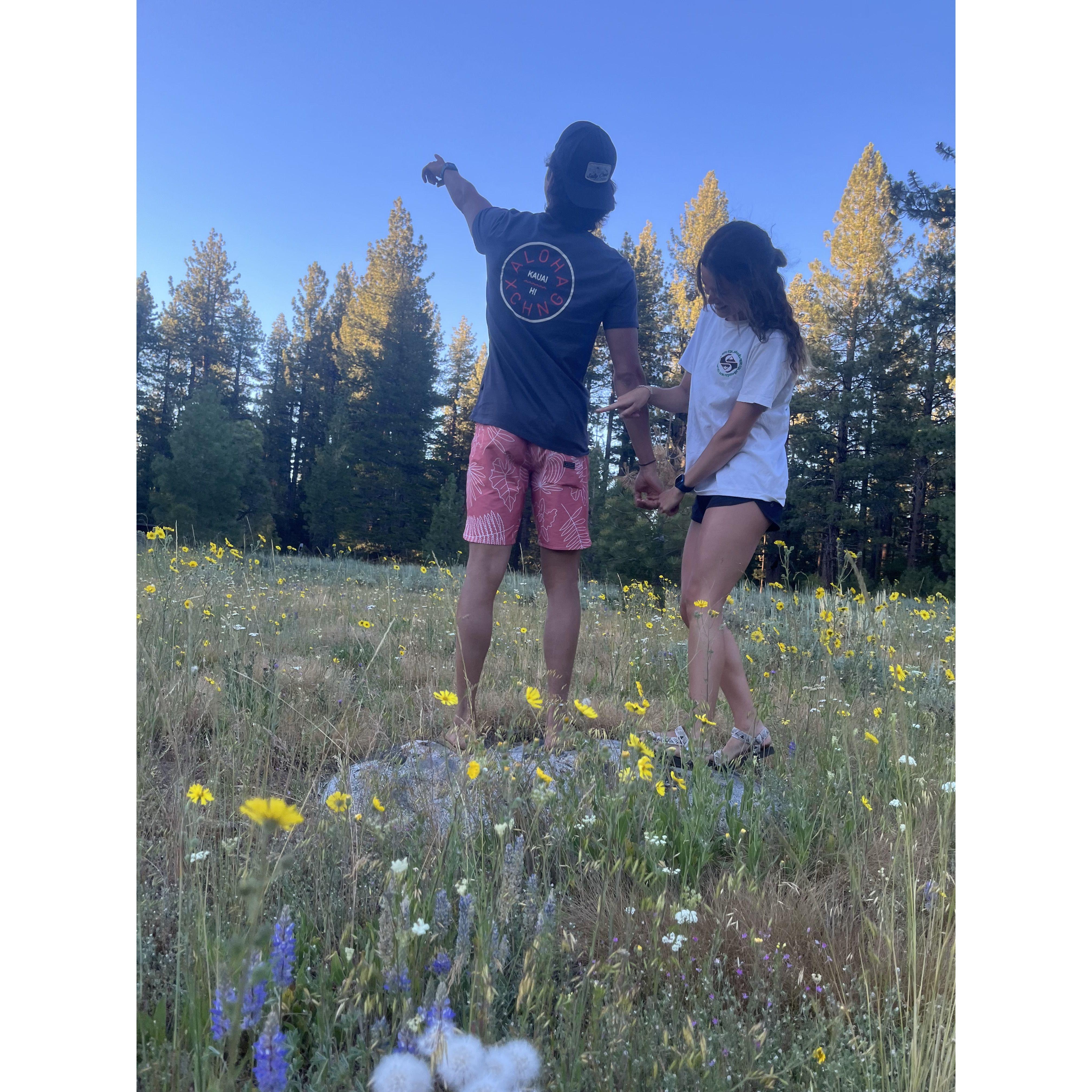 Lake Tahoe with the Highams