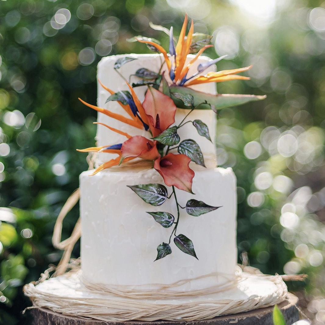 Our Wedding Cake