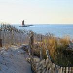 Cape Henlopen State Park