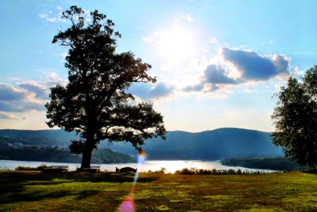 The Wedding Website of Emmajane Kanter and Michael Clemente