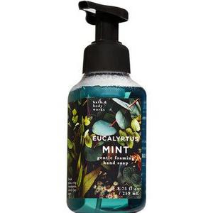 Eucalyptus Mint Gentle Foaming Hand Soap
