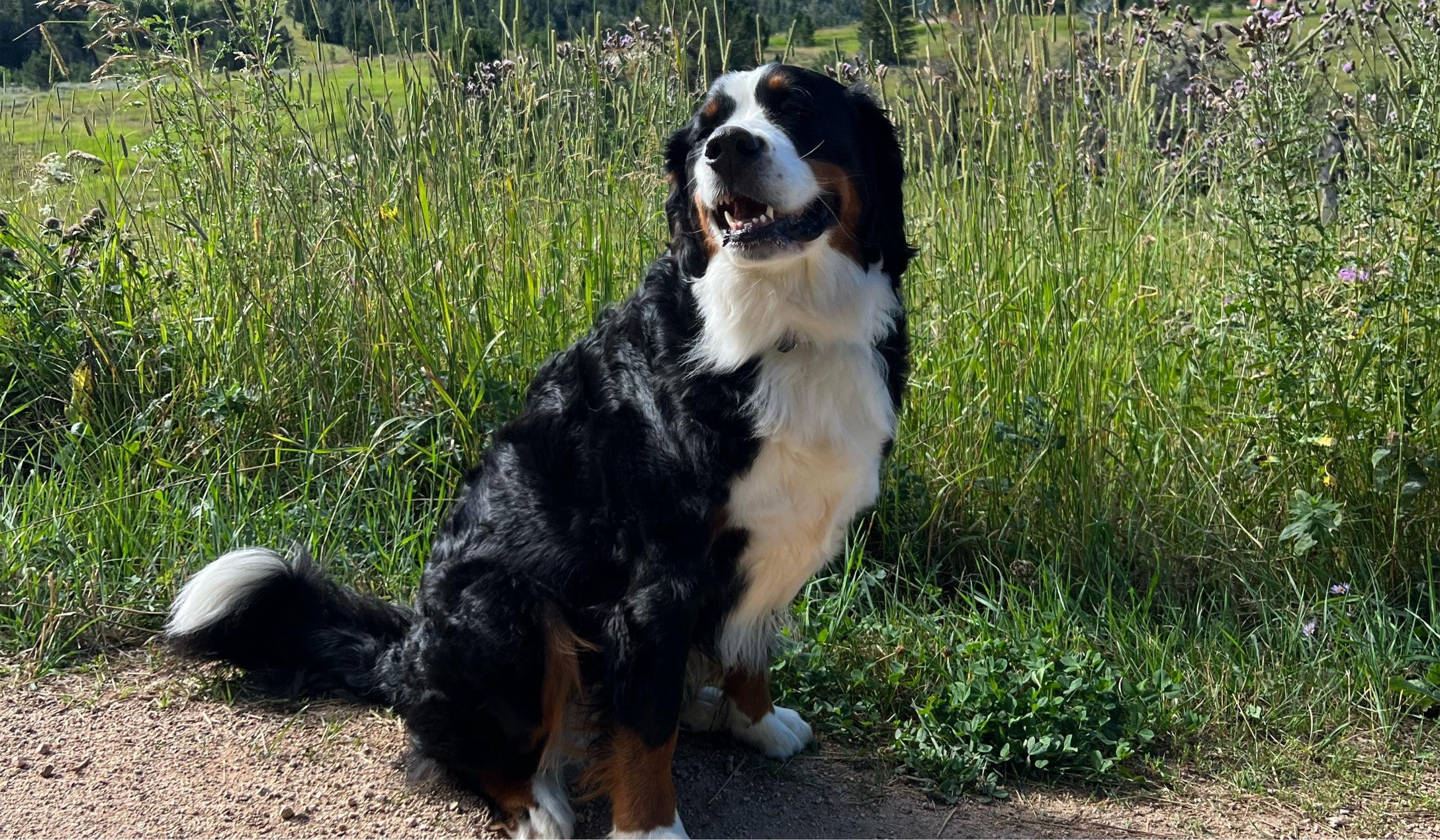 Hero Slideshow Image 3