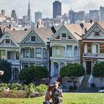 Painted Ladies