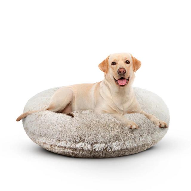 Bagel Bed