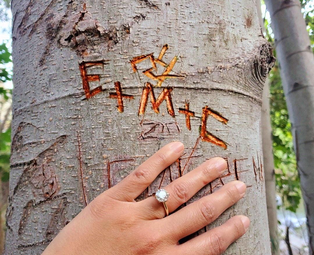 The Wedding Website of Elena Hendricks and Michael Shimada