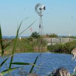 Norman J. Levy Park & Preserve