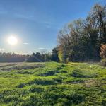 Great Brook Farm State Park