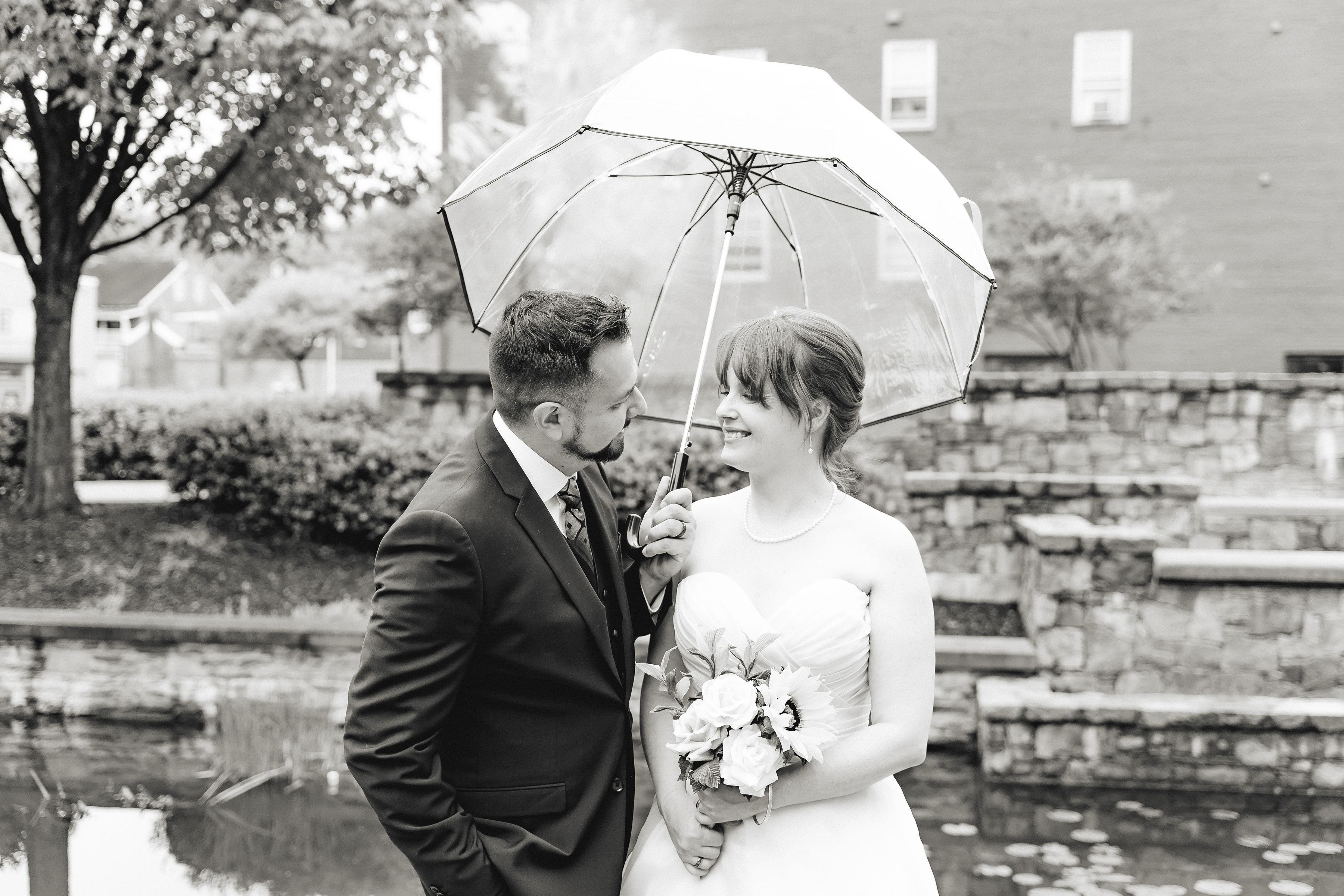 The Wedding Website of Allison Proctor and David Termohlen