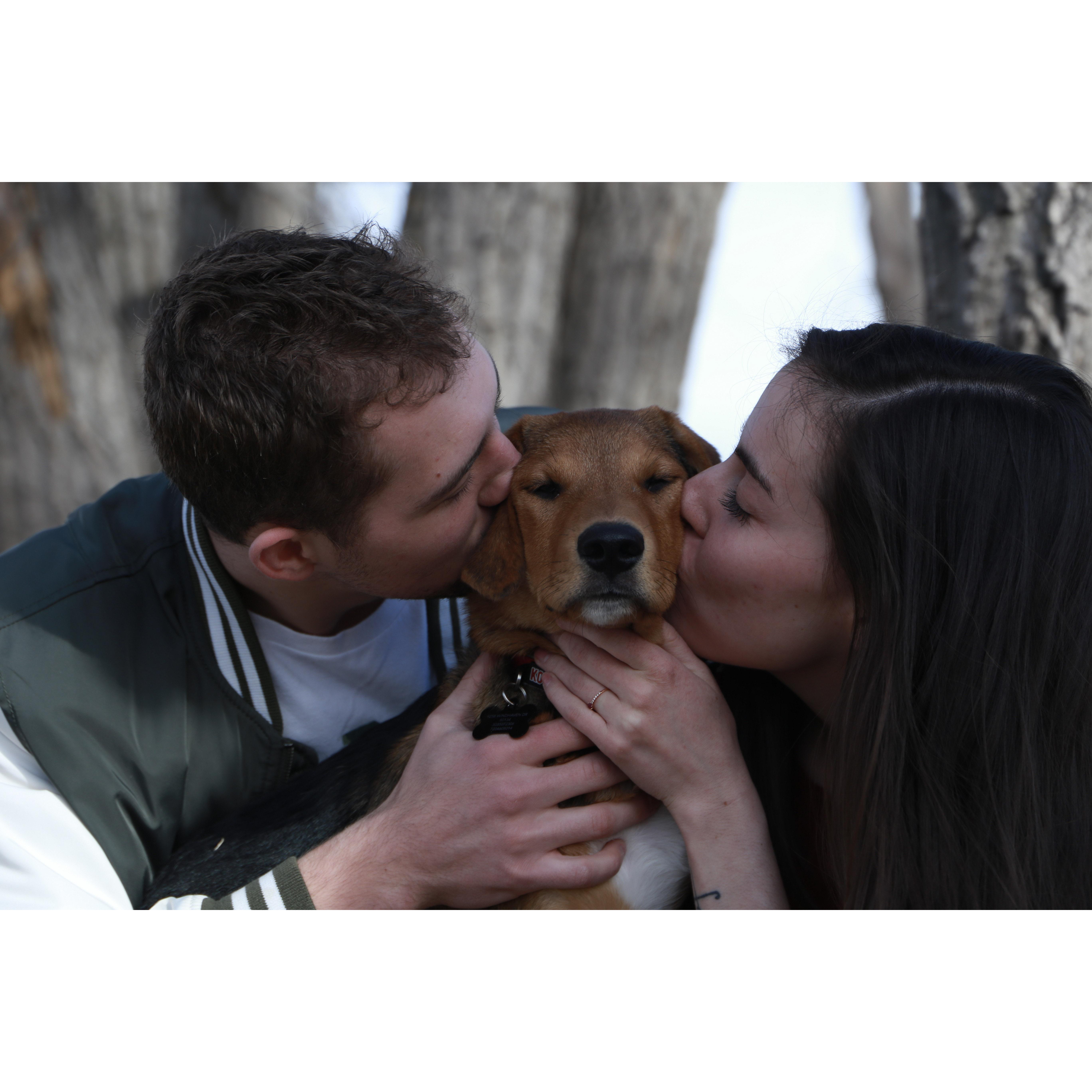 Reggie was added to our family, 2020.