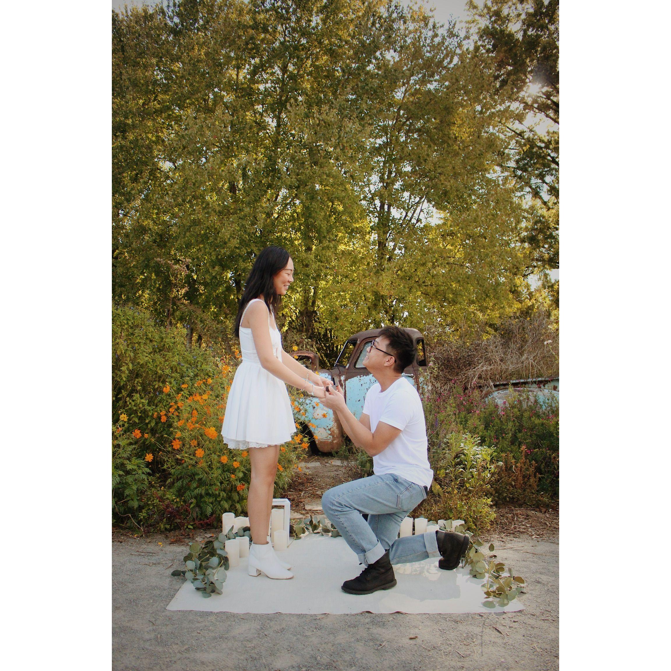 Nam proposed to Helen at the UT Botanical Gardens, which was their first photoshoot location.