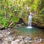 El Yunque National Forest