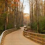 Greenway Big Creek