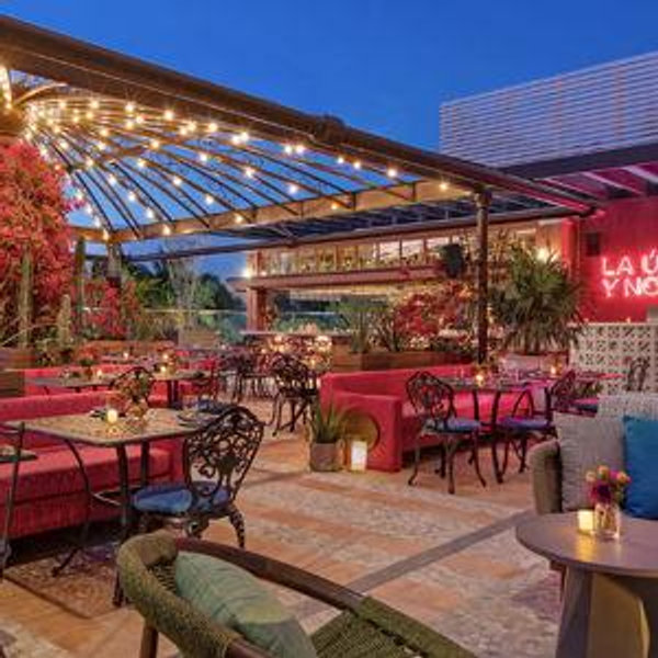 Fancy Dinner in Miami