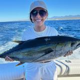 Cabo Sport Fishing