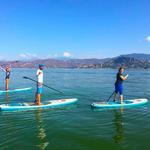 Paddle Surf