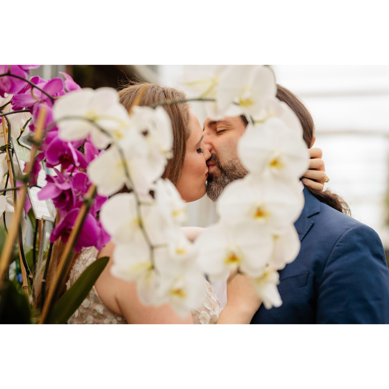A view through orchids