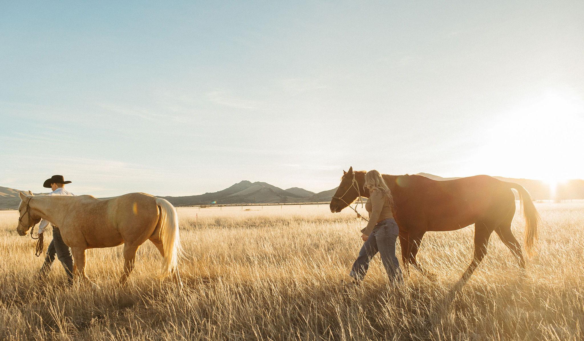 Hero Slideshow Image 2